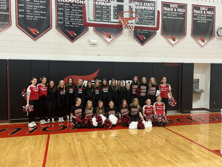 Girls state cross country