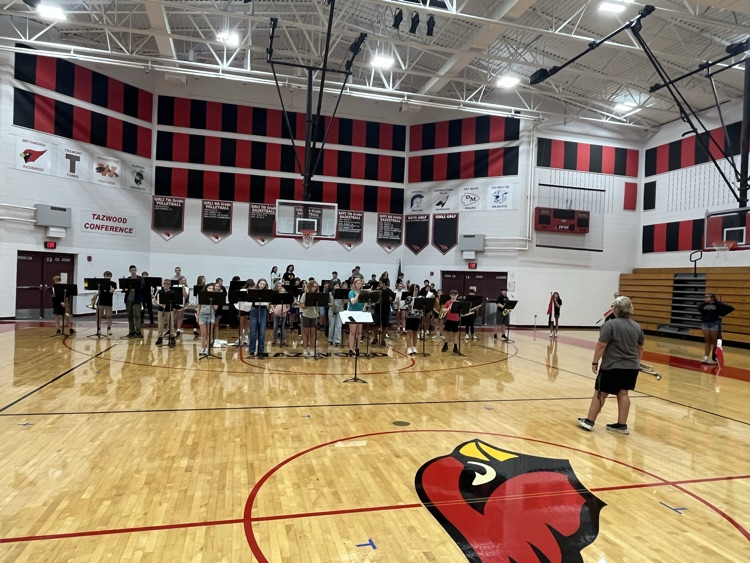 Girls state cross country