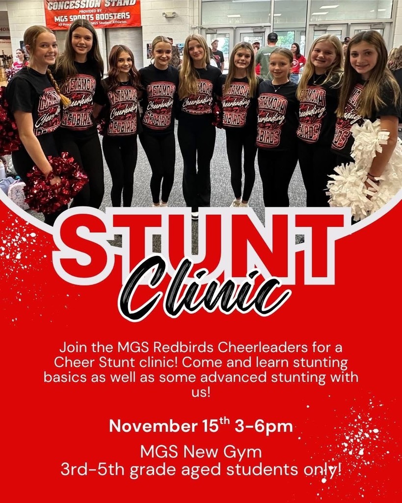 Stunt Clinic