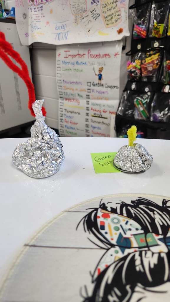 The winning "rocks"!