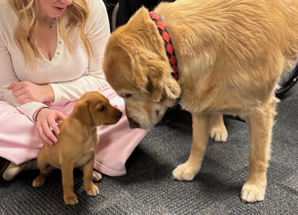 Wags of Wisdom with Crosby