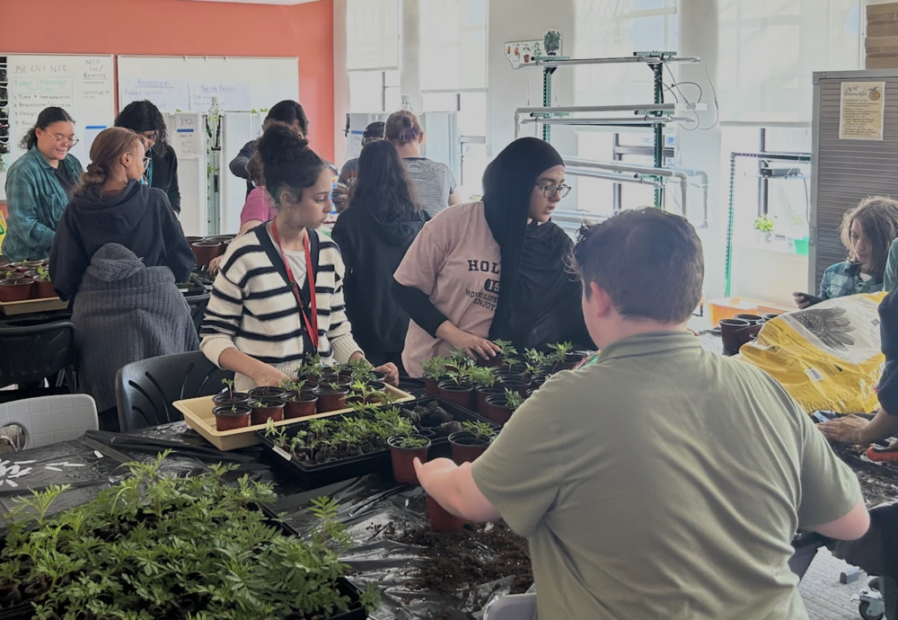Food Insecurity Project