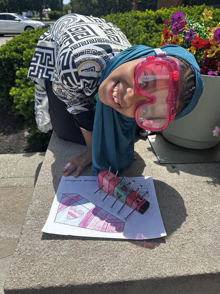 STEM project