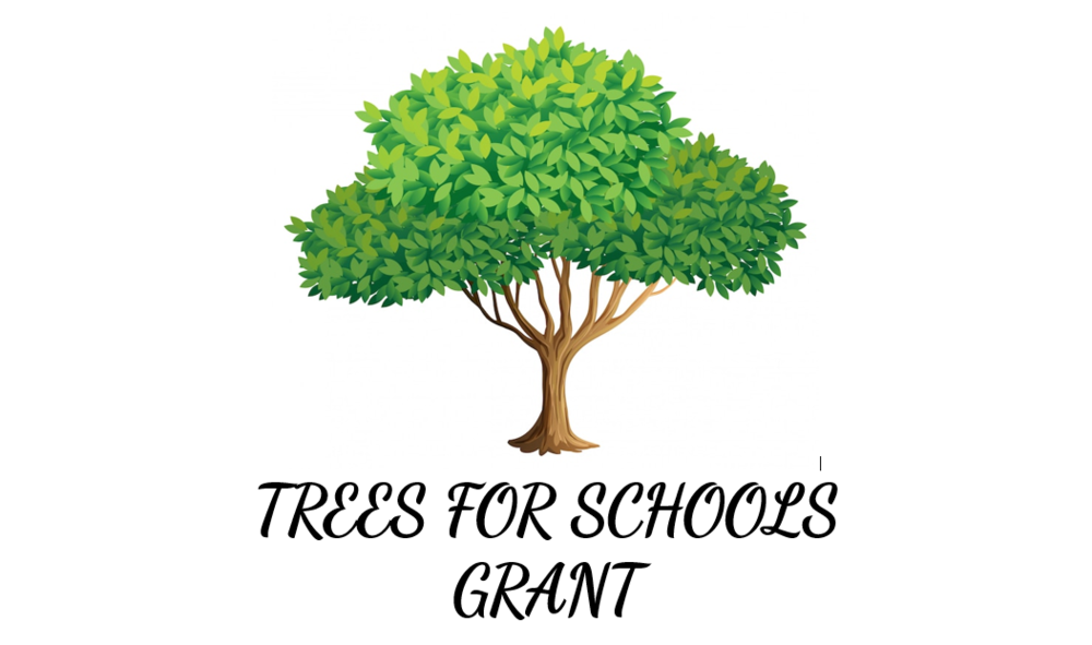 Trees for Schools Grant
