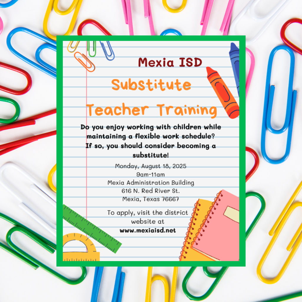 Substitute Training