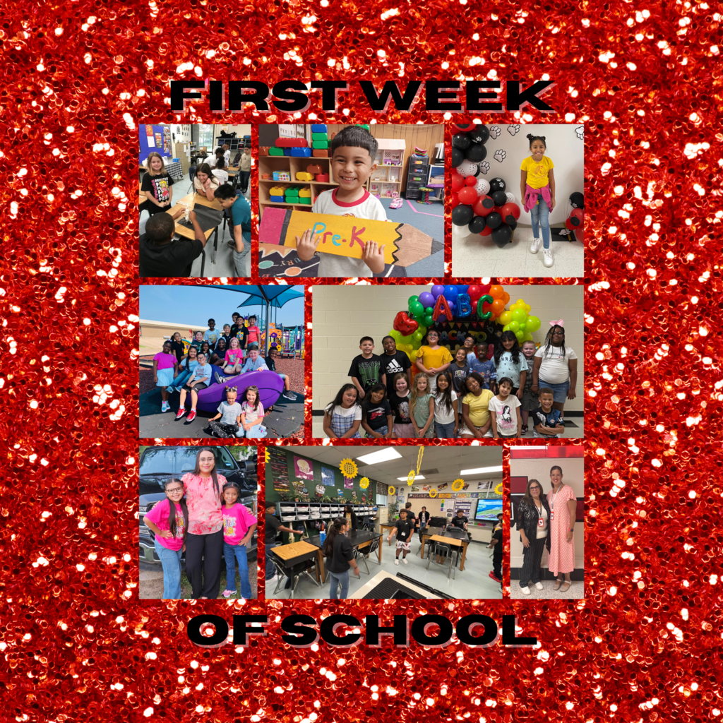 First Week Highlights