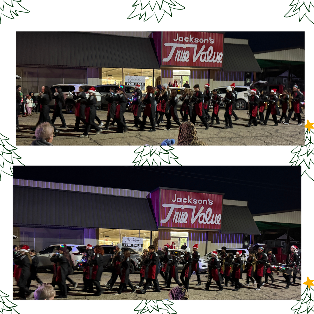 Blackcat performing at the Christmas Parade