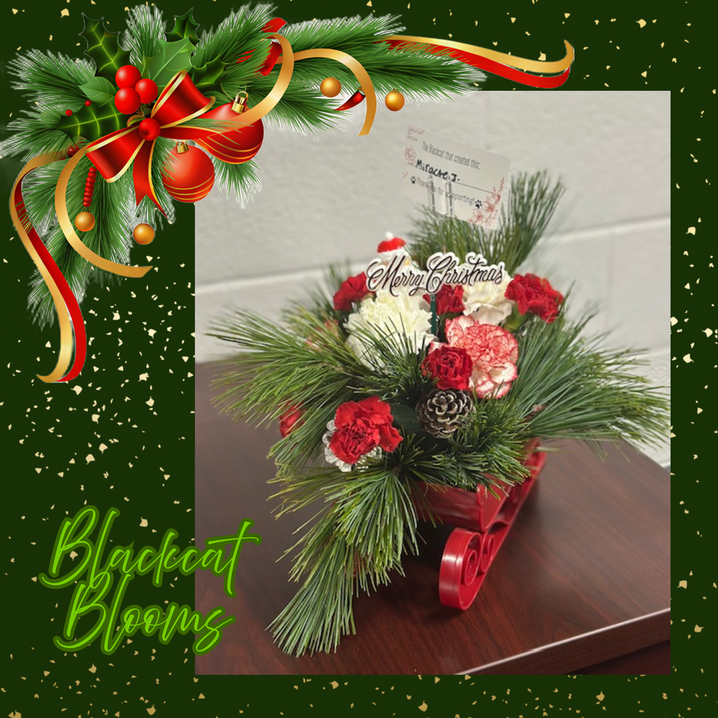 Christmas floral arrangement from Blackcat Blooms
