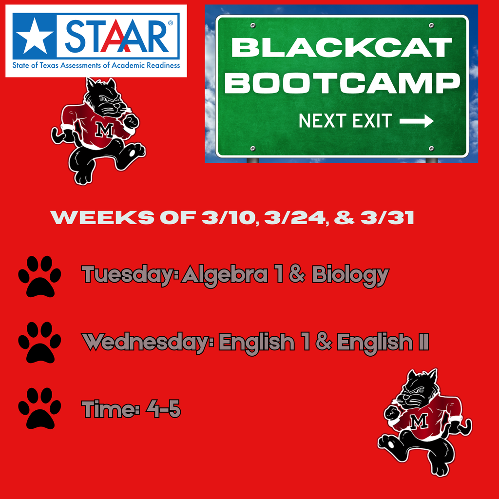 advertising STAAR Black cat Bootcamp for students