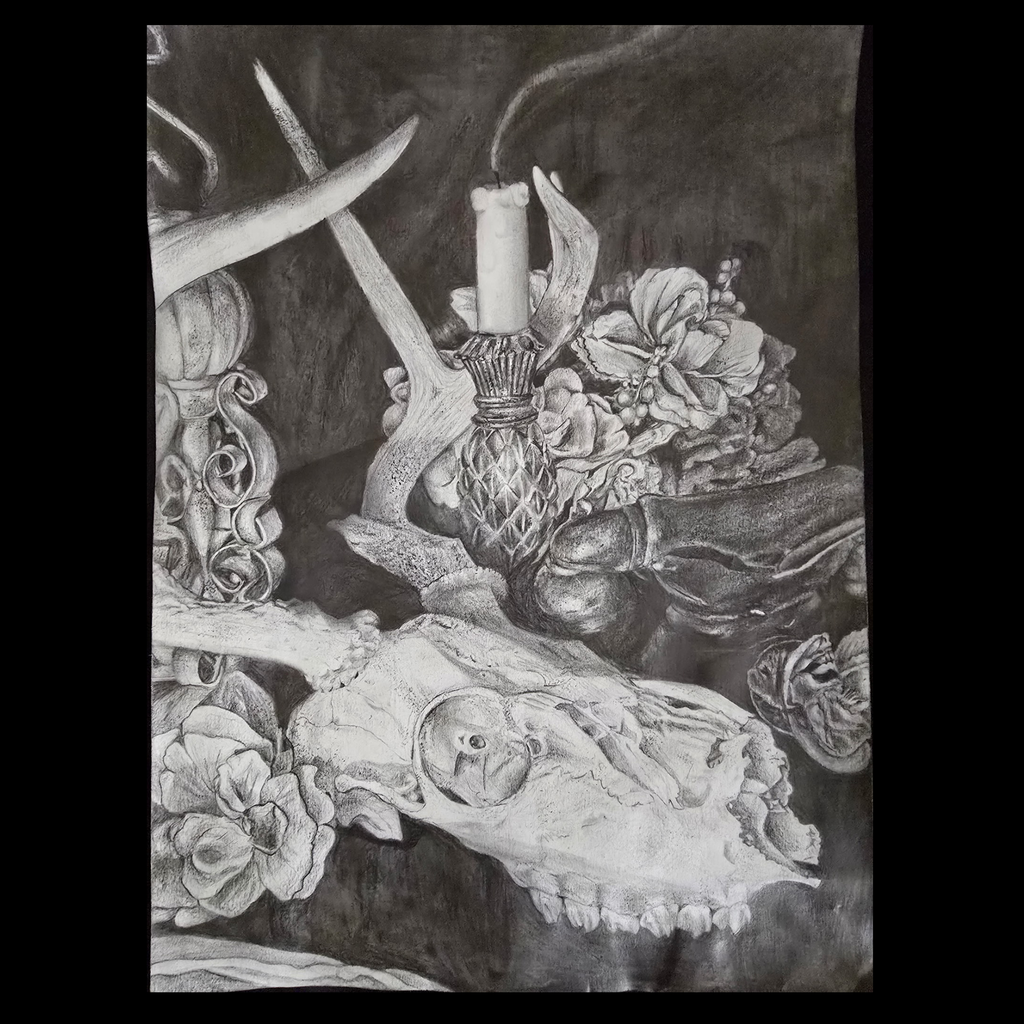 black and white drawing of a cow skull surrounded by flowers and a burned out candlestick