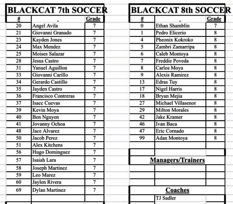 soccer 