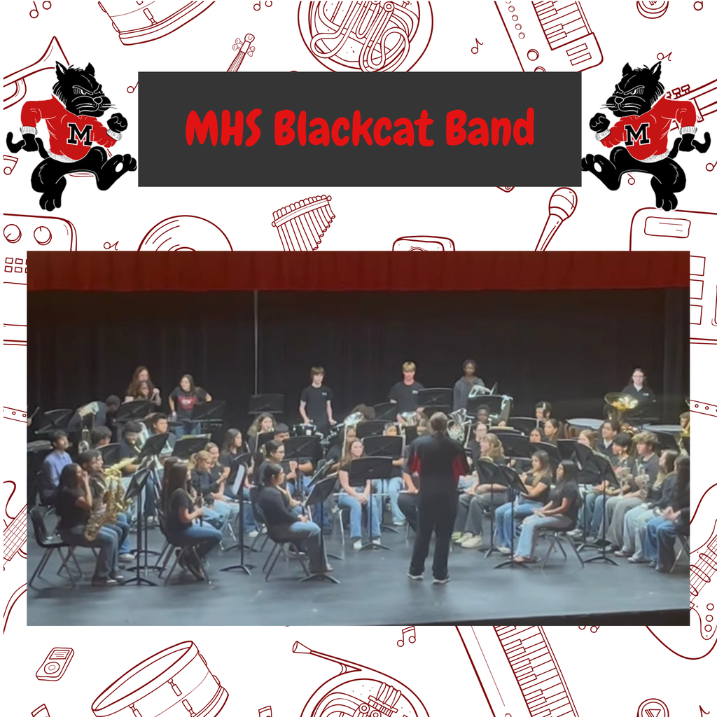 A band performing on stage. Audience seated in front. A conductor stands in front of them.