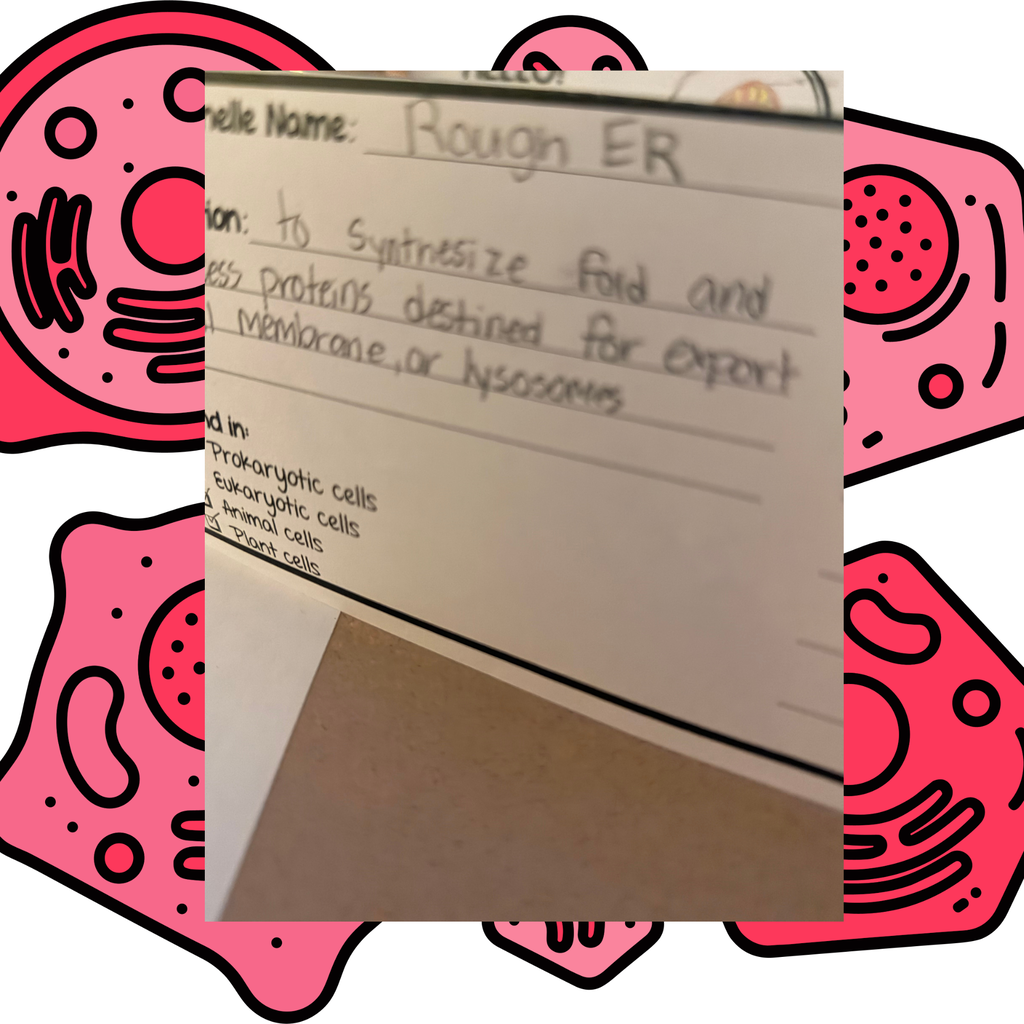A close-up of a document, "Rough ER," with handwritten text, surrounded by pink cell illustrations.
