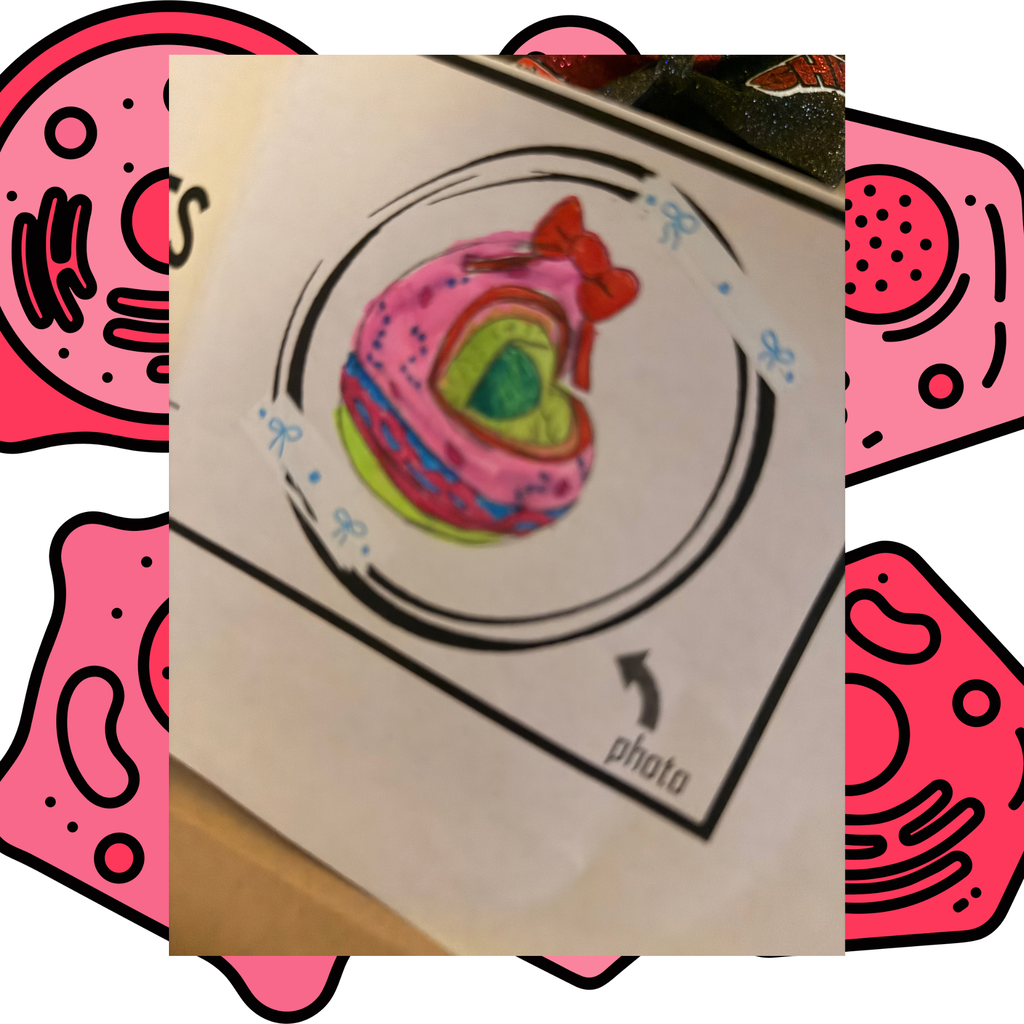 A hand-drawn illustration of a donut is shown. It features a cross-section view with a red bow.