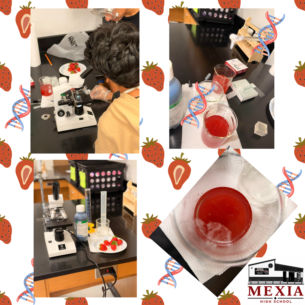 Four pictures show a person examining strawberries under a microscope and handling red liquid in a lab.