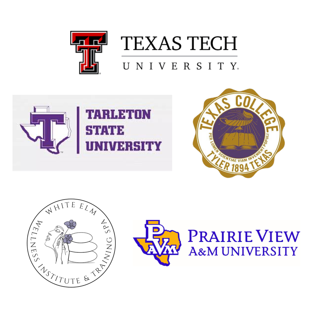 Four university logos arranged in a square. Top left is Texas Tech University, top right is Tarleton State University, bottom left is Prairie View A&M University, bottom right is a circular seal.