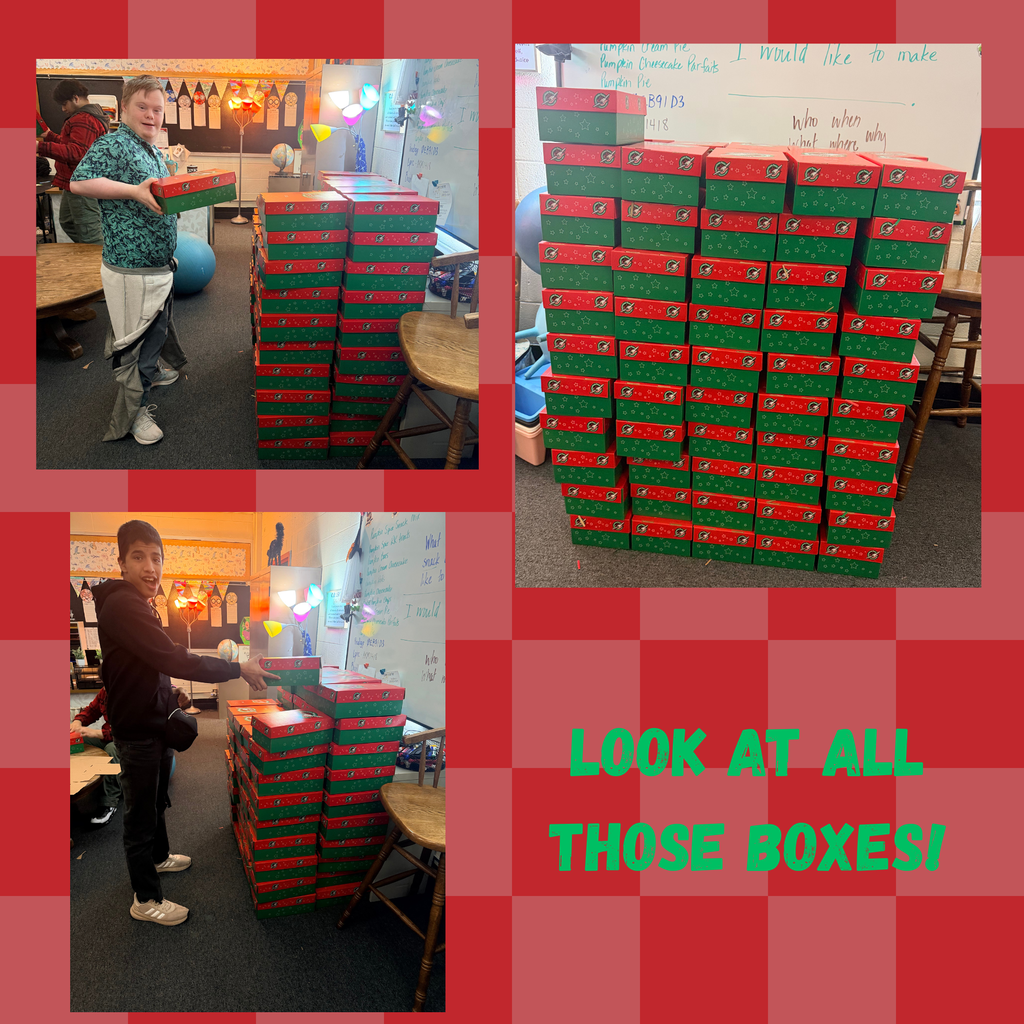 Three images of students handling boxes. Text: "Look at all those boxes!" Background of red and white checkered pattern.