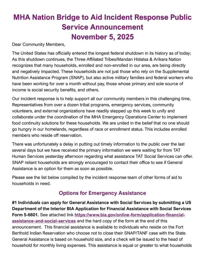 Bridge to Aid PSA pg1