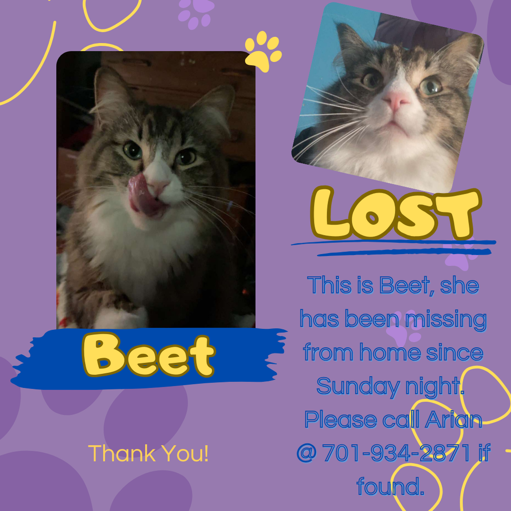 Beet still missing 8/27