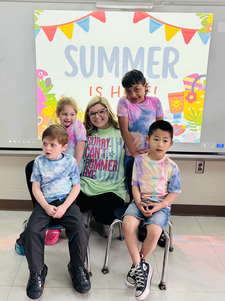 tie -dye shirt craft