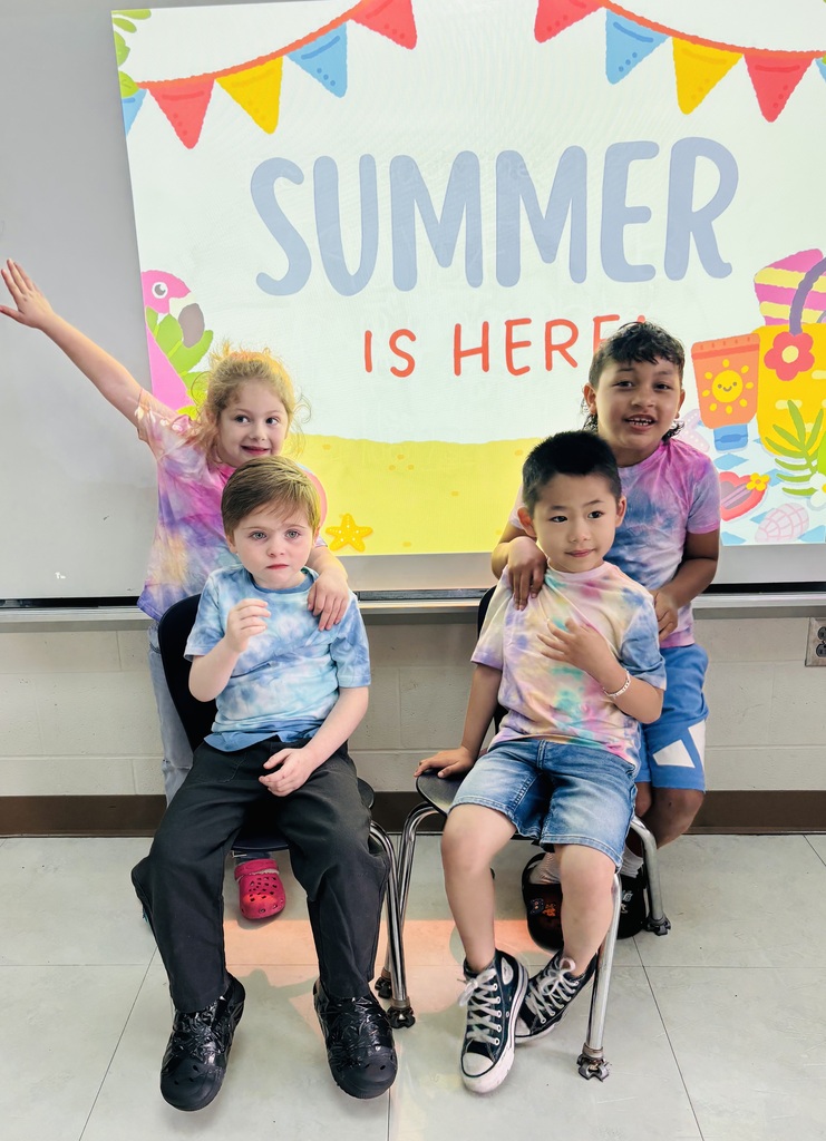 tie -dye shirt craft
