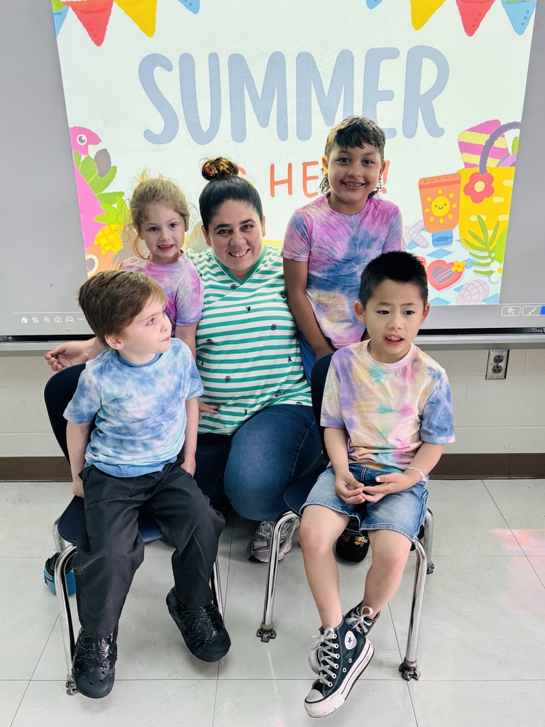 tie -dye shirt craft