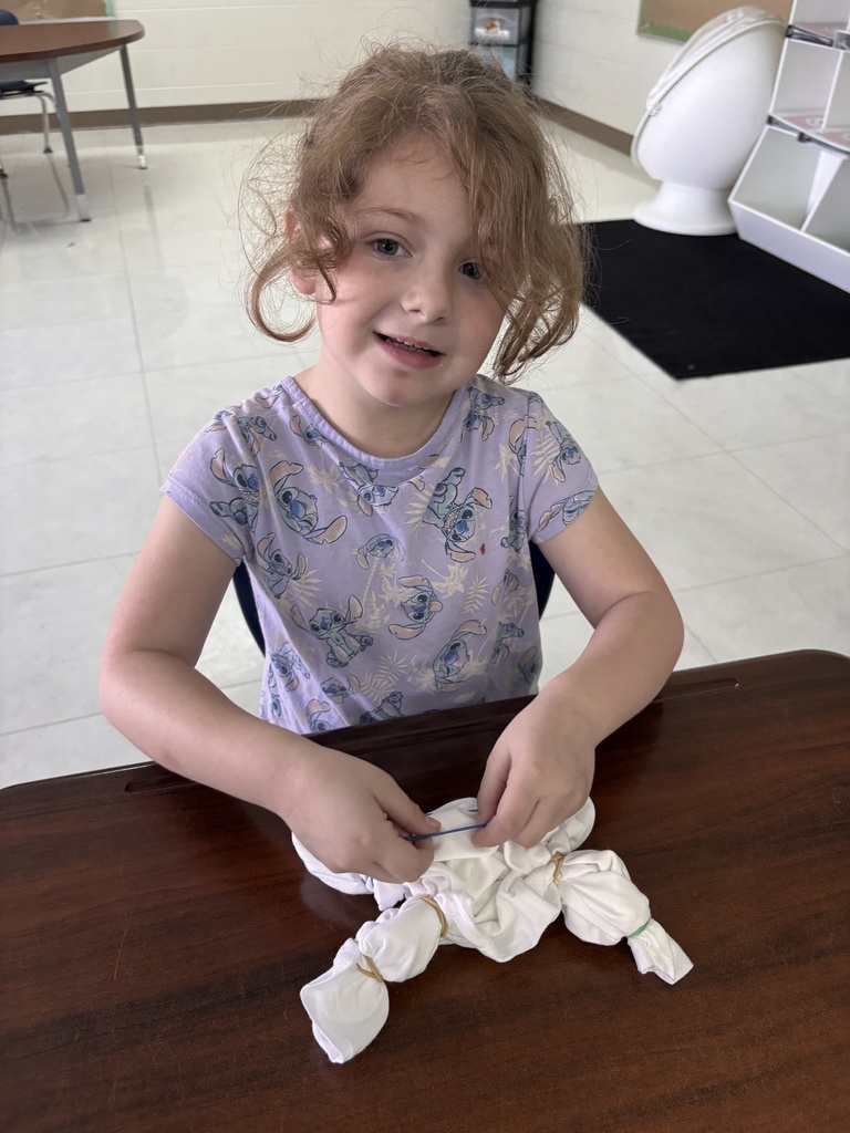 tie -dye shirt craft