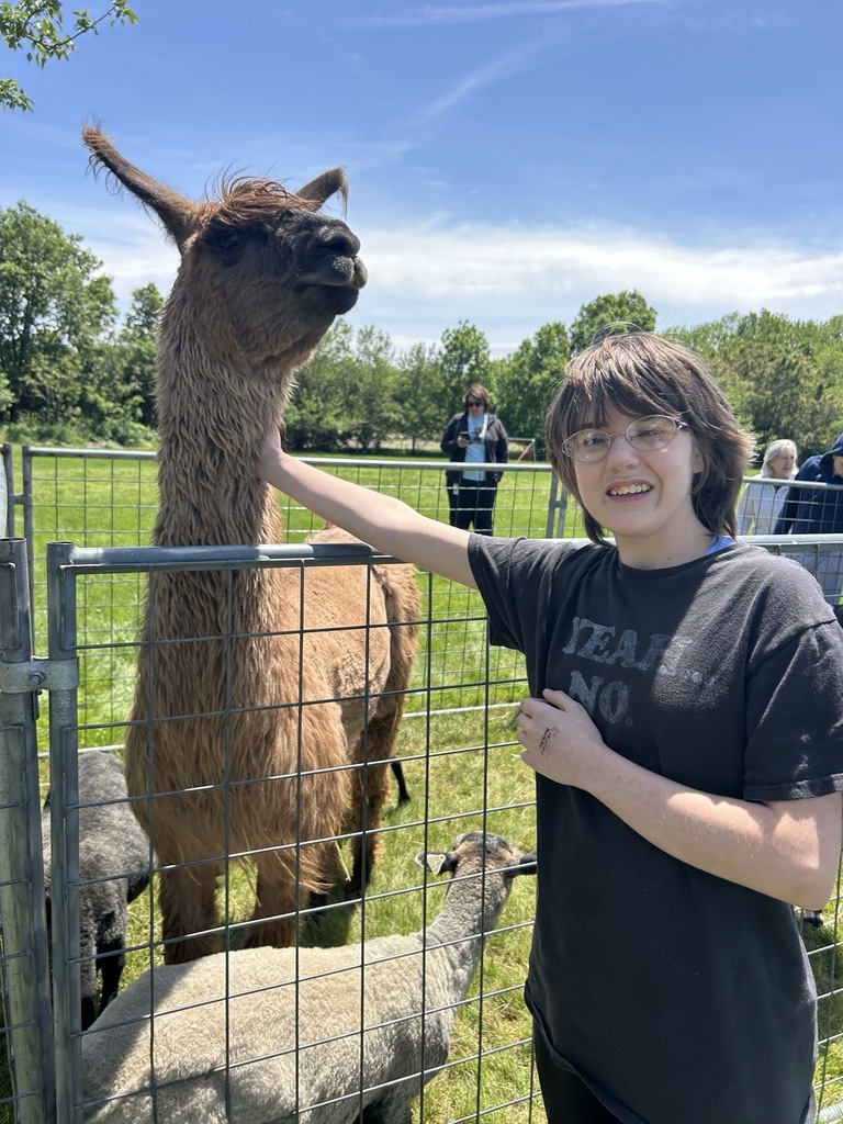 petting zoo