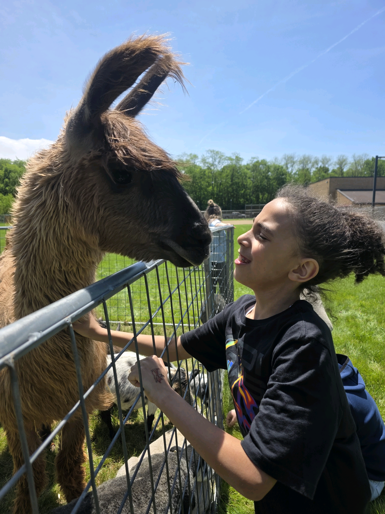petting zoo
