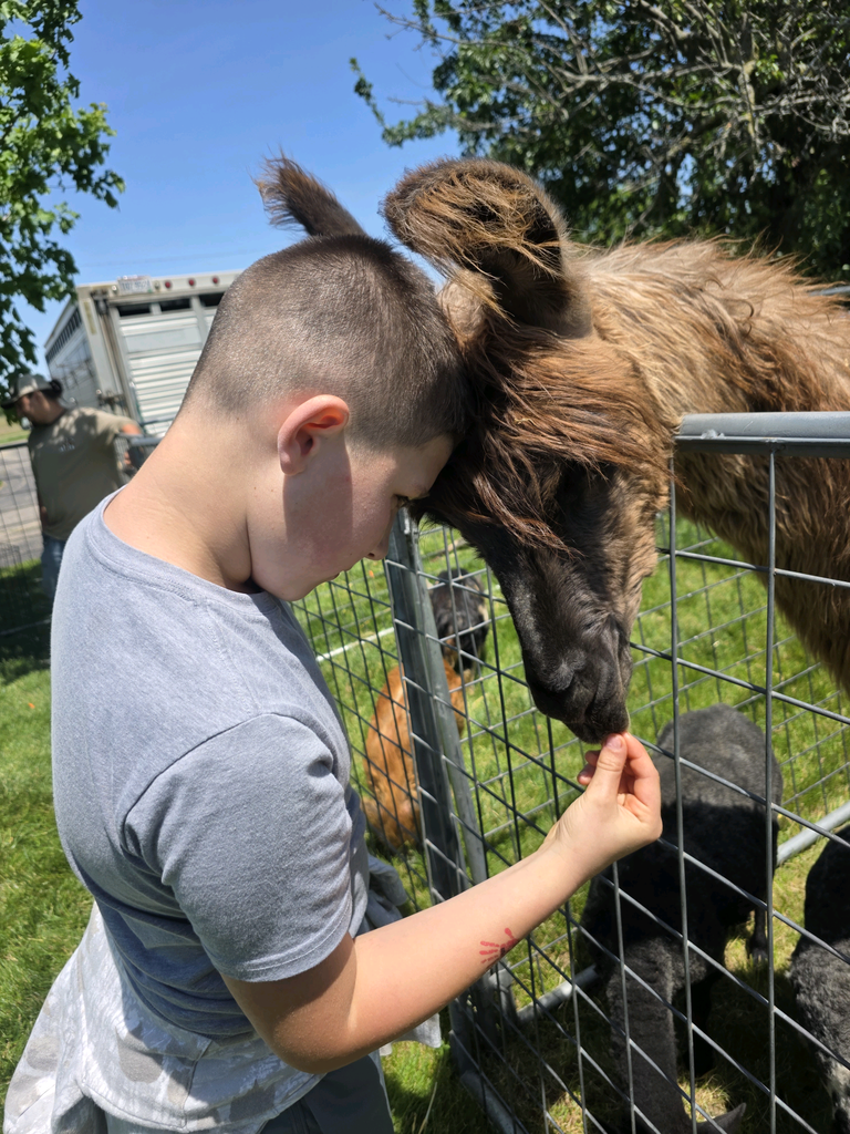 petting zoo