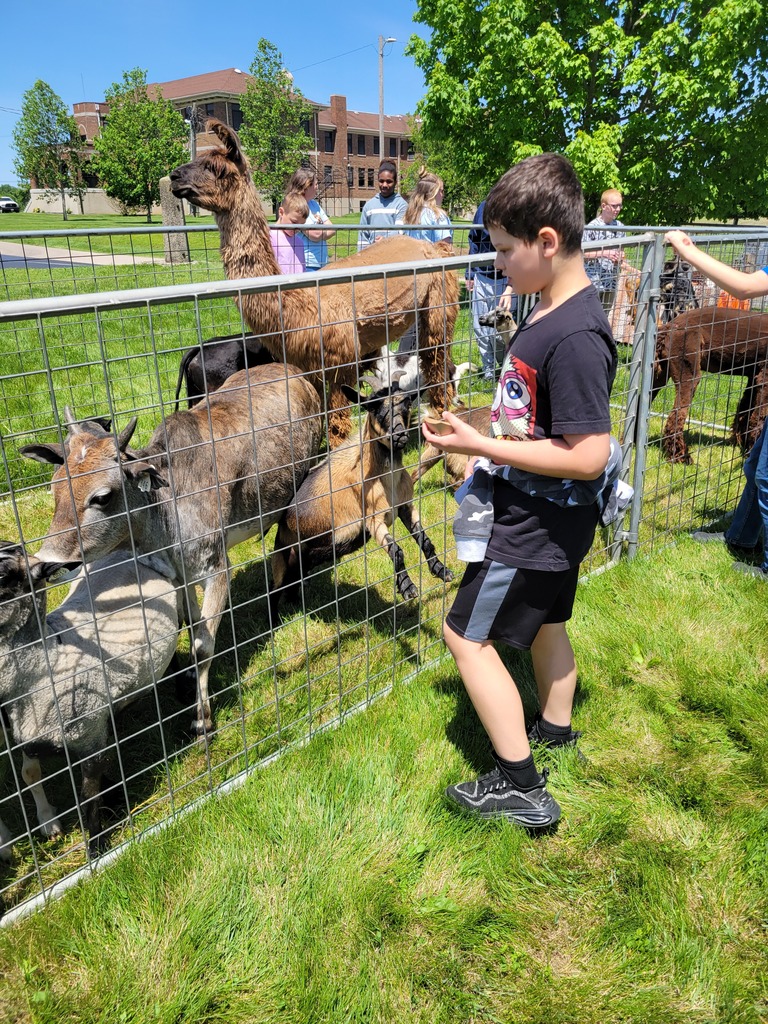 petting zoo