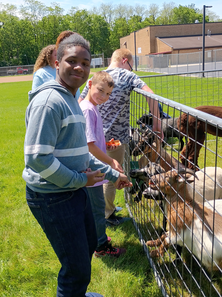 petting zoo