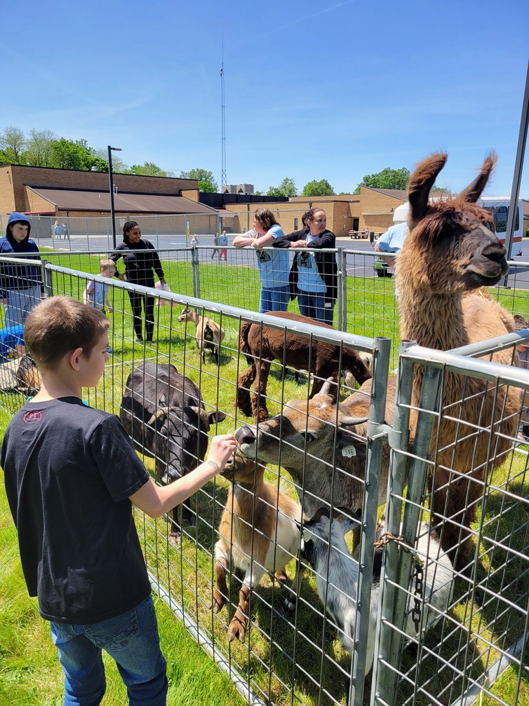 petting zoo