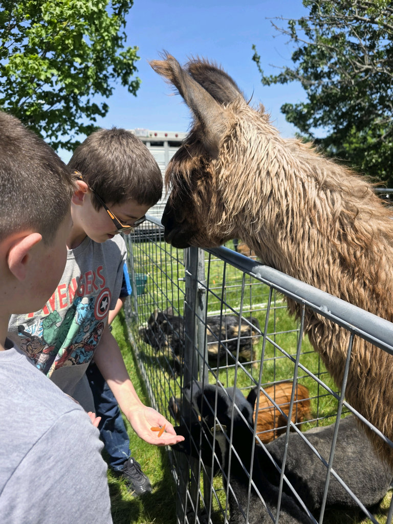 petting zoo