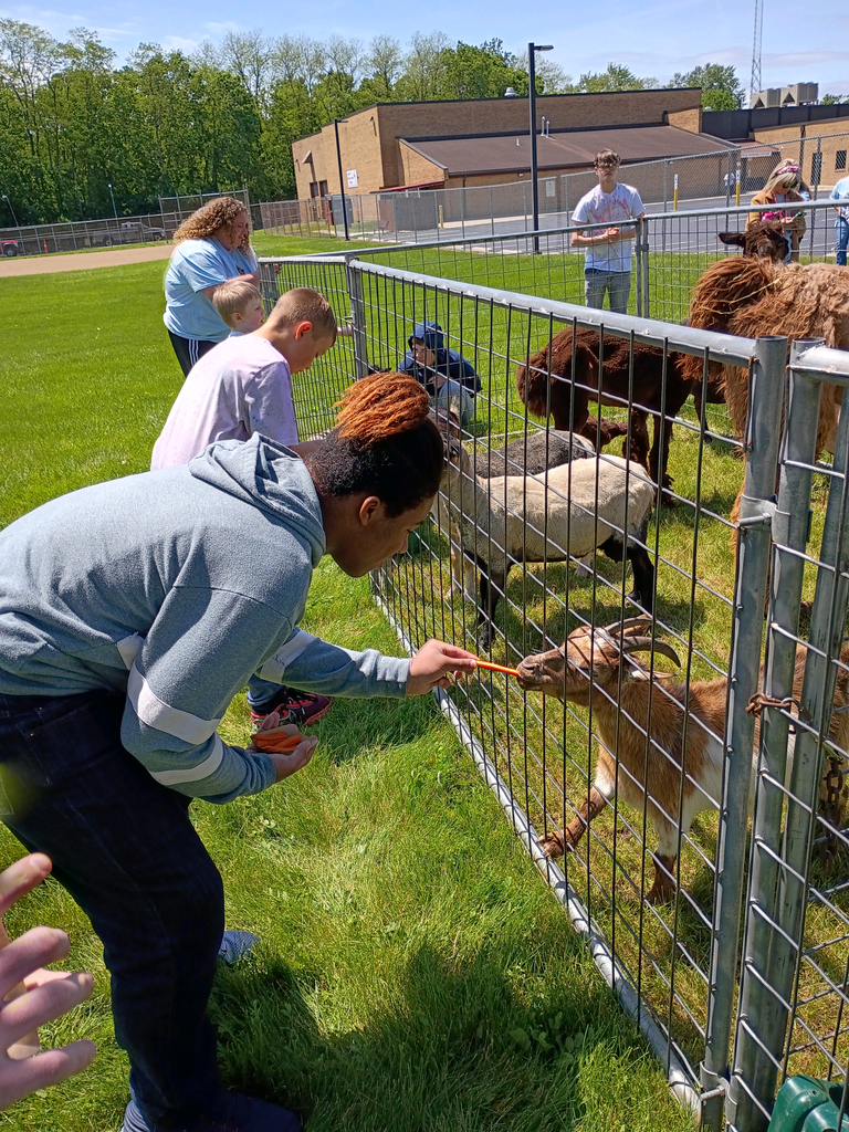petting zoo