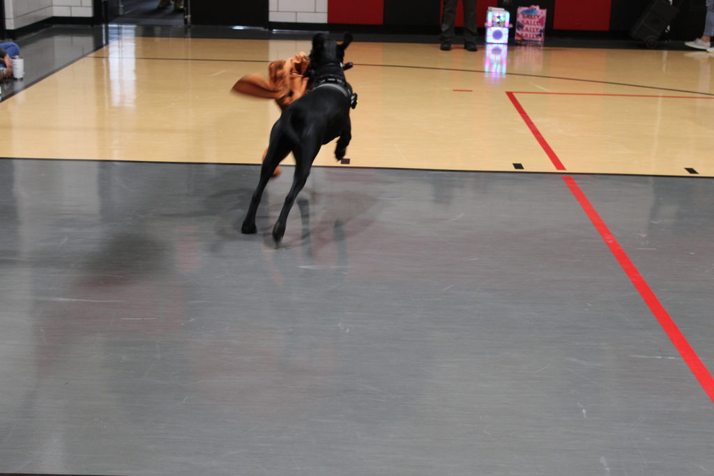 CLC Talent Show