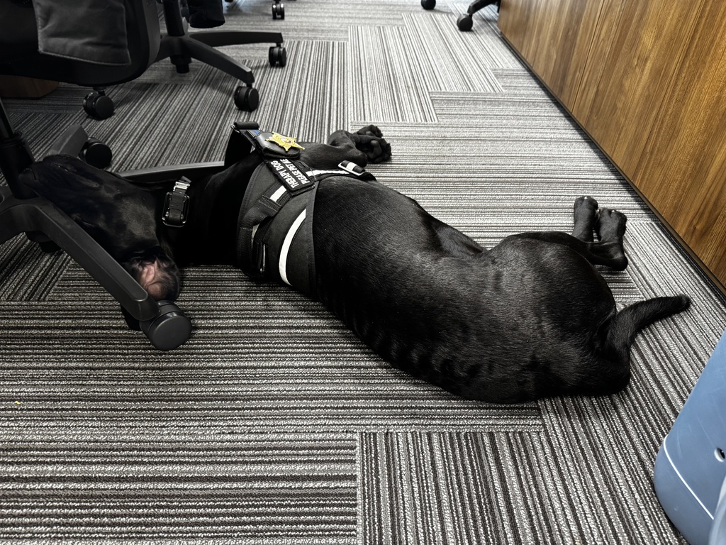 nap time