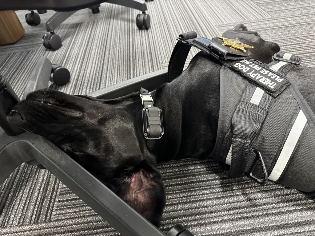 snoozin