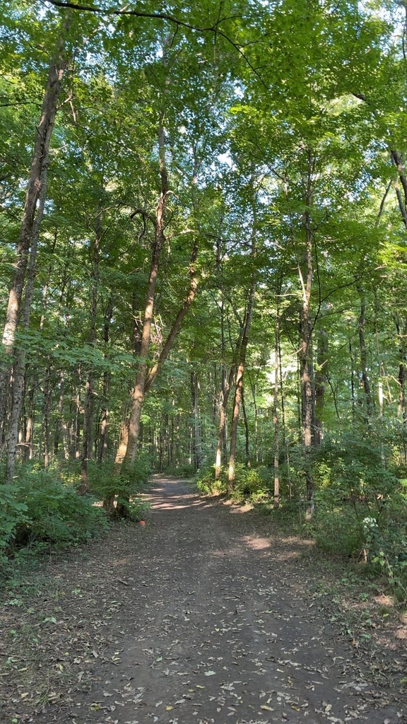 Nature Walks