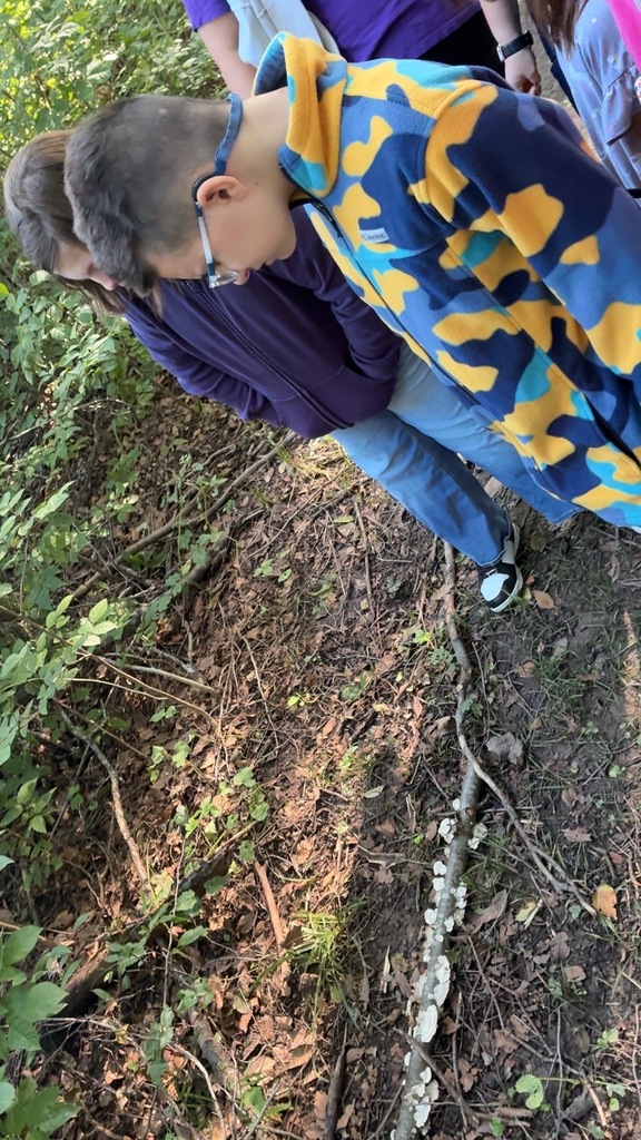 Nature Walks