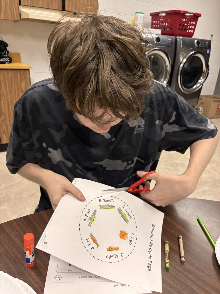 salmon science project