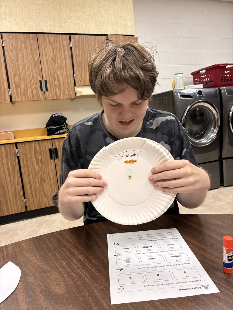 salmon science project