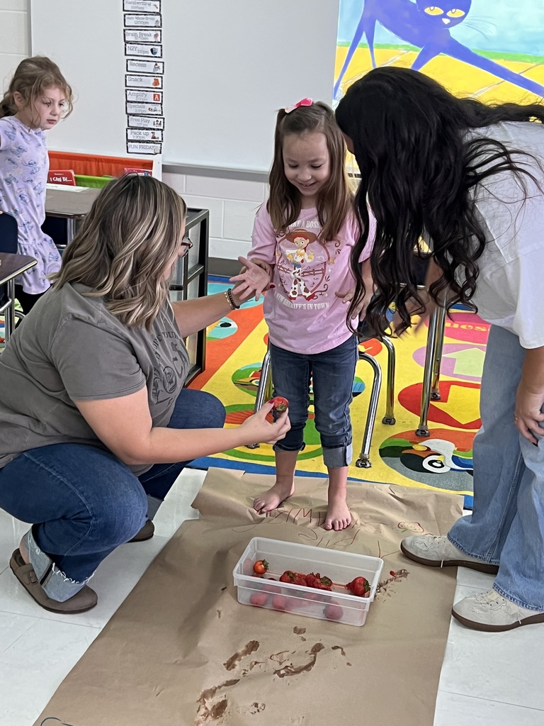 Pete the cat activity