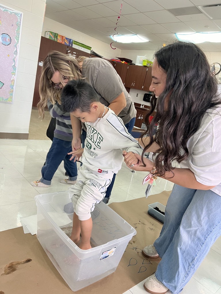 Pete the cat activity