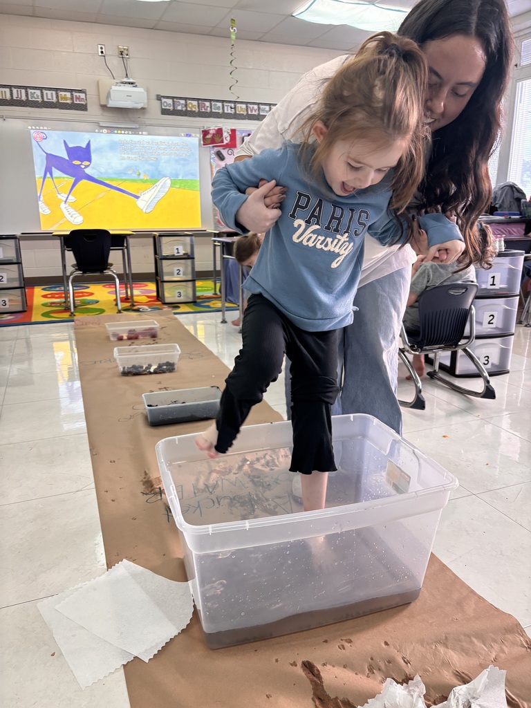 Pete the cat activity