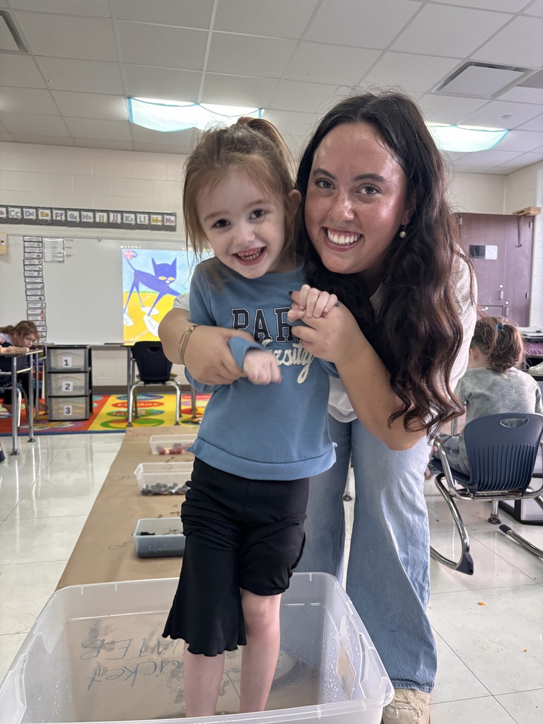 Pete the cat activity