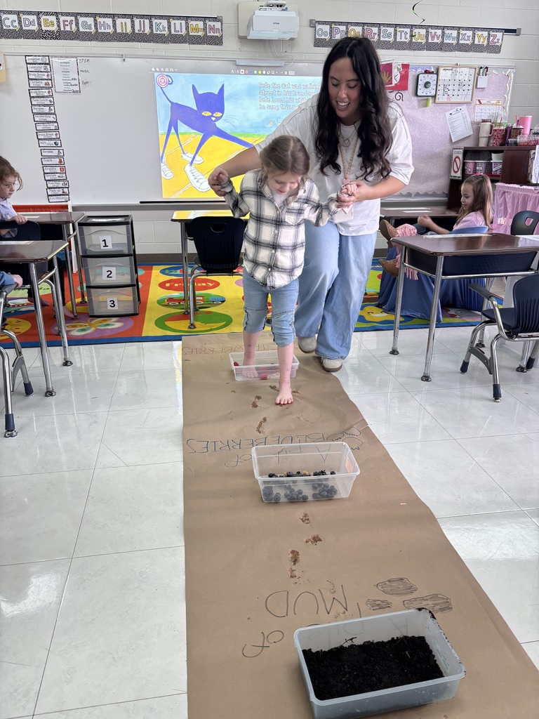 Pete the cat activity