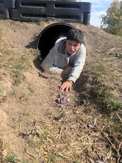 Big slide