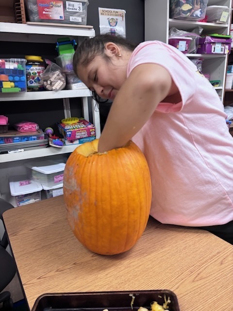 pumpkin Carving