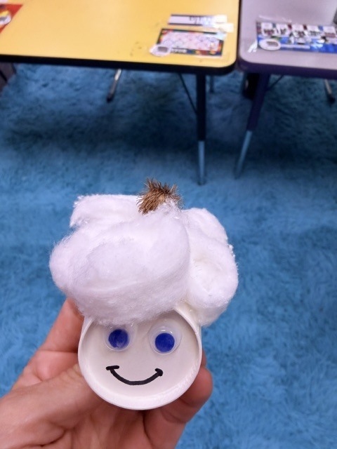 seed dispersal